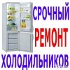 Логотип «Мастер по Ремонту холодильников в Одессе»