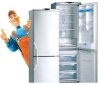 Логотип «GFS (Good Frost Service)»